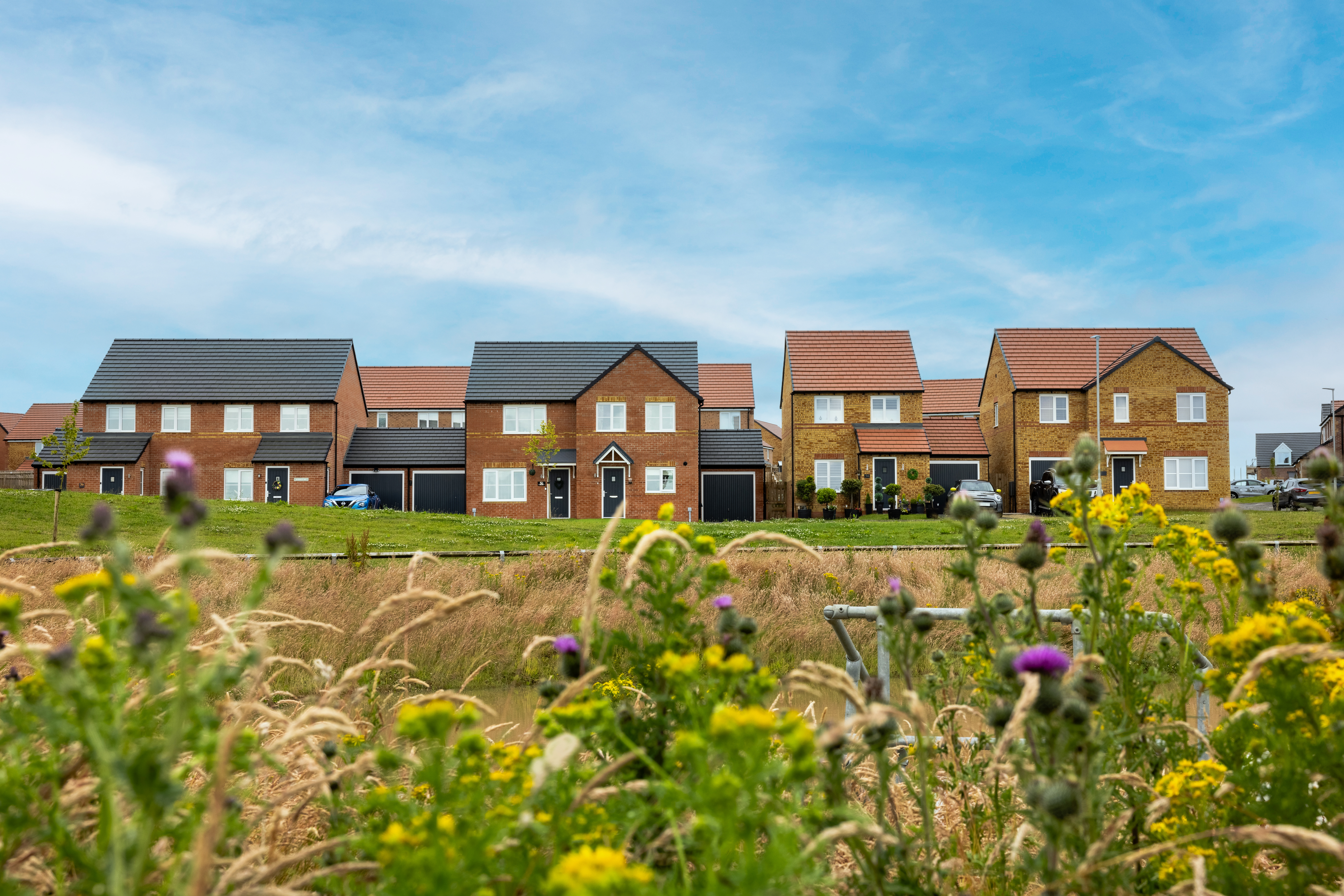 Middlestone Meadows Suds (2)